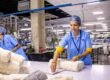 PF ESIC compliance Tamil Nadu