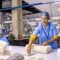 PF ESIC compliance Tamil Nadu