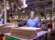 Staffing Services in Coimbatore